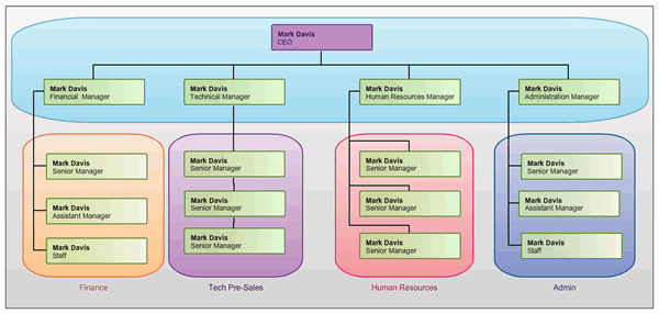 Professional Org Chart